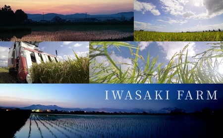 【2月配送】令和7年産　ゆめぴりか 5kg×1袋 5kg |ゆめぴりか 新米_05232