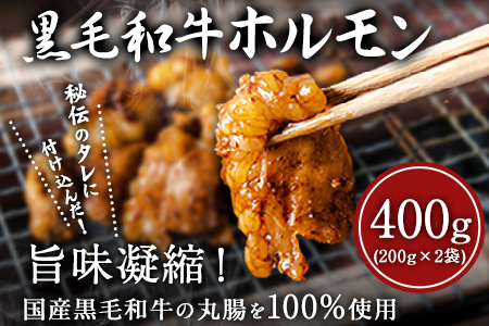 黒毛和牛ホルモン400g 有限会社トップルーフ 黒毛和牛 