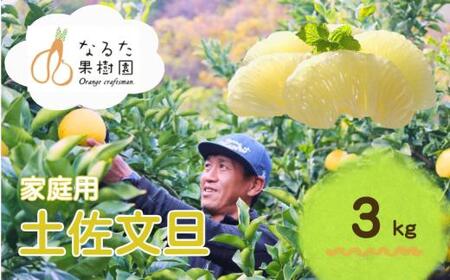 成田果樹園 の 土佐文旦 3kg ご家庭用 文旦 ぶんたん [1684]