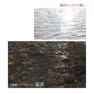 ふるさと納税 三条市 [ベルモント] 偏光グラス Soleil ブラウン(ツヤ) グラファイトグレー【088S008】 |  | 02