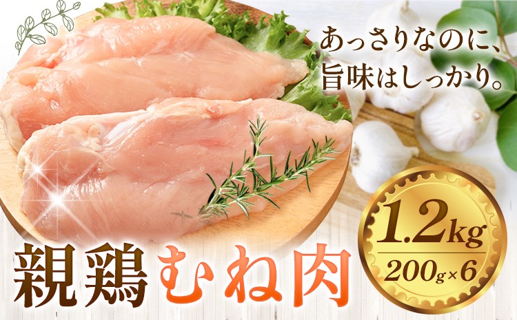 
                  親鶏 肉 鶏肉 むね肉 1.2kg 200g × 6 《30日以内に出荷予定(土日祝除く)》カット済 親どり おやどり ひね鳥 ひねどり 純鶏 もも むね 鶏肉 とり肉 鶏もも 鶏むね 冷凍 ミックス 詰め合わせ 焼肉 焼き鳥 おつまみ キャンプ BBQ 徳島 上板
                