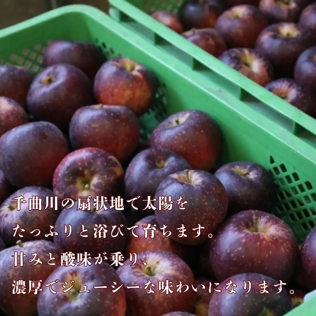 【2026年先行予約】秋映 約3kg|りんご りんご