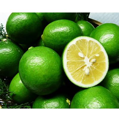 ふるさと納税 宇城市 先行予約 レモン 国産マイヤーレモン 3kg |  | 01