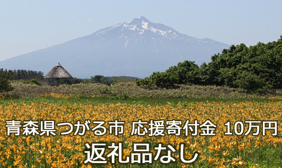 【ふるさと納税】《返礼品なし》「つがる市へのご寄附 100,000円」つがる市の発展のために活用させていただきます！ [0079] 青森 津軽 つがる つがる市