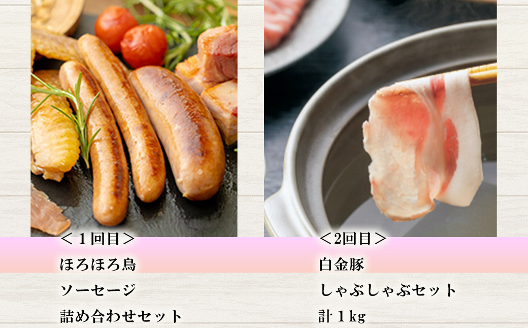 【定期便6ヵ月】花巻肉三昧DX（デラックス） (白金豚・ほろほろ鳥・黒ぶだう牛、等） 【1304】