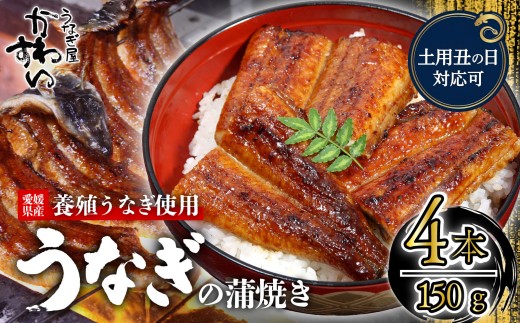 【容量選択可】【土用丑の日】【7月24日にお届け！】〈うなぎ屋かわすい〉愛媛県松山市養殖うなぎを使用！うなぎ蒲焼 4本 (1尾：150～169g)  ｜うなぎ ウナギ 鰻 蒲焼き 国産 お取り寄せ グルメ ふるさと納税  簡単調理 土用丑の日 ギフト 贈り物 お中元 お歳暮 母の日 父の日  かわすい 川口水産 愛媛県 松山市
