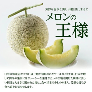 SA2950　芳醇な香りと美しい網目 「秀品 アールスメロン」　約3kg(青肉 大玉/2玉入)