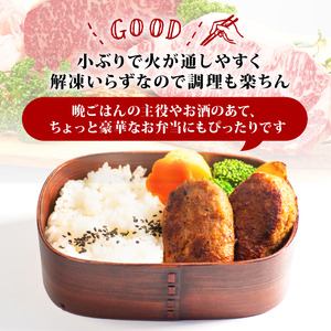 【ハンバーグ】近江牛 入り ハンバーグ 75g×10個 [E531] 日本三大和牛 牛肉 黒毛和牛