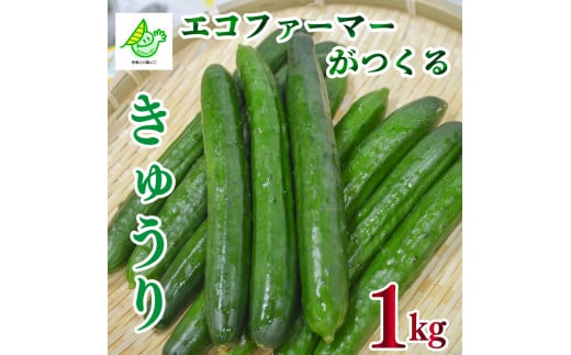 【先行予約】 野菜 きゅうり 約 1kg 《2025年8月中旬～順次発送》 朝採れ エコファーマー サラダ 漬物 浅漬 小分け 夏野菜 ヘルシー 副菜 産地直送 阿波市 徳島県
