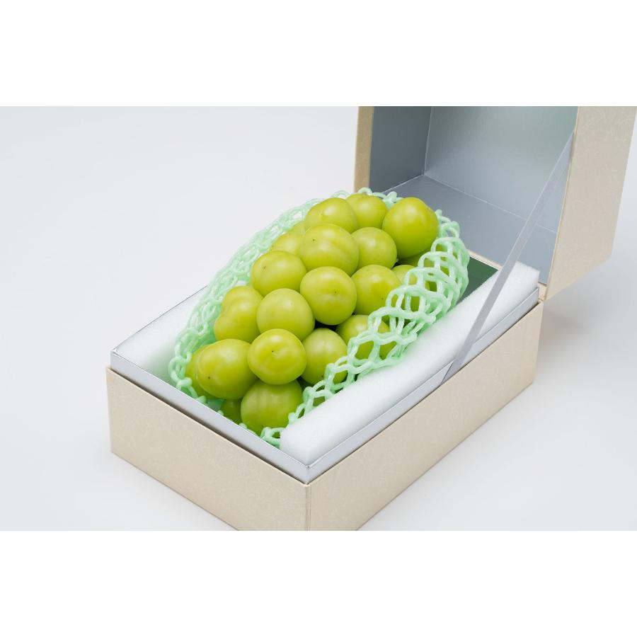 シャインマスカット大房１房（570～650g）