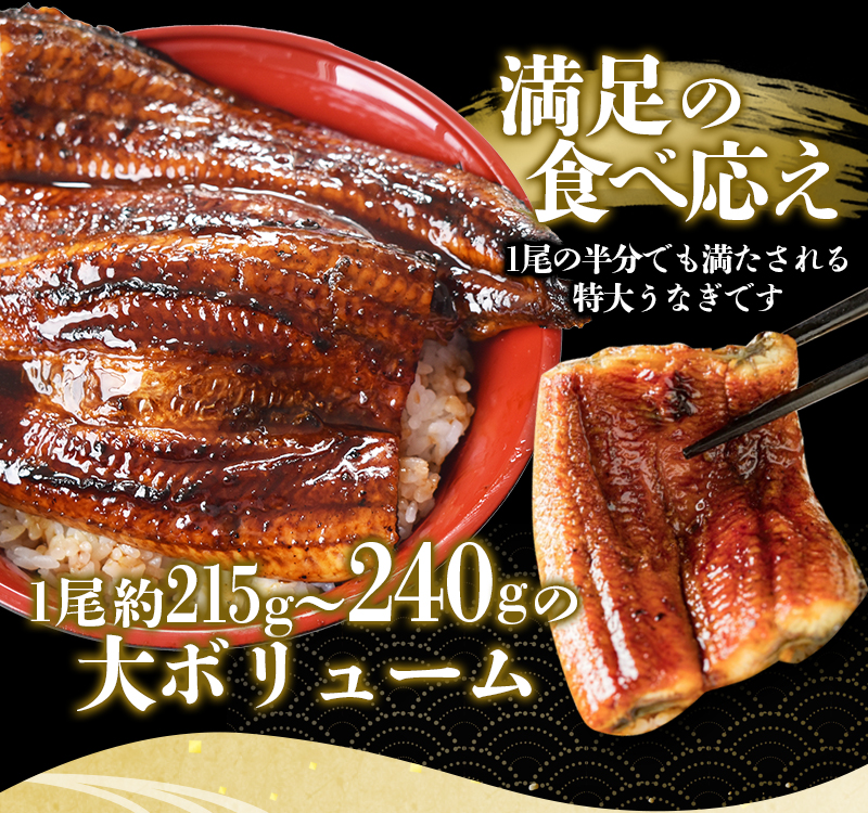 うなぎ蒲焼 4尾 計約860g～960g （タレ・山椒付き） 1尾で約215g～240gのビッグサイズ 【通常発送】【nks702B】