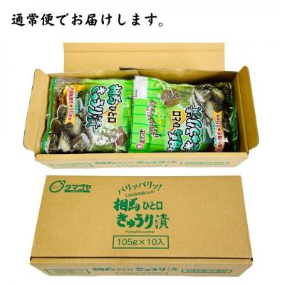ふるさと納税 南相馬市 相馬ひと口きゅうり漬 1,050g (105g×10袋)【53852-001】 |  | 02