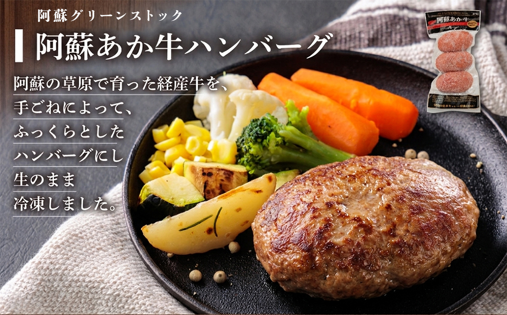 【ANA限定】阿蘇あか牛ハンバーグセット （110g×3個入り）×3パック 合計9個 牛肉 加工肉 贅沢 豪華 人気 美味しい ジューシー 焼くだけ 温めるだけ 冷凍 簡単 手軽 晩御飯 おかず 贈答
