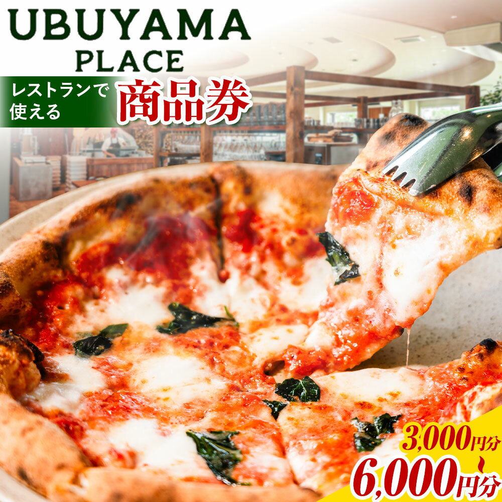 【ふるさと納税】UBUYAMA PLACE レストラン 商品券 3000円 6000円 《30日以内に出荷予定(土日祝除く)》熊本県 産山村 チケット イタリアン ピザ 観光 プレゼント 贈り物 ギフト 金券 送料無料 産山 プレイス ランチ