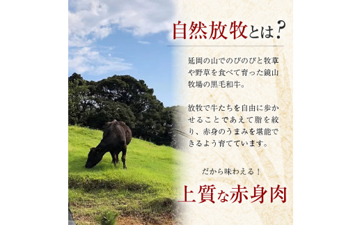 八崎牛の熟成ローススライス　約250g×1　N0105-B069