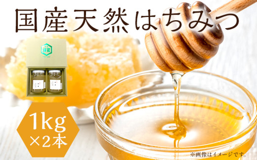 はちみつ 国産 蜂蜜 ハチミツ 2kg 国産 天然 はちみつ 1kg×2本 計2kg 福岡県 福岡 九州 グルメ お取り寄せ ハニー hachimitsu hachimitsu はにー 常温 瓶 化粧箱 ギフト 贈呈 贈呈用 プレゼント 保存 産地直送 国産はちみつ 蜜 純粋 非加熱 百花蜜 豪華 無調整 honey 備蓄 防災食 非常食 贈り物 甘い 濃厚 風邪予防 お取り寄せ 美容 健康