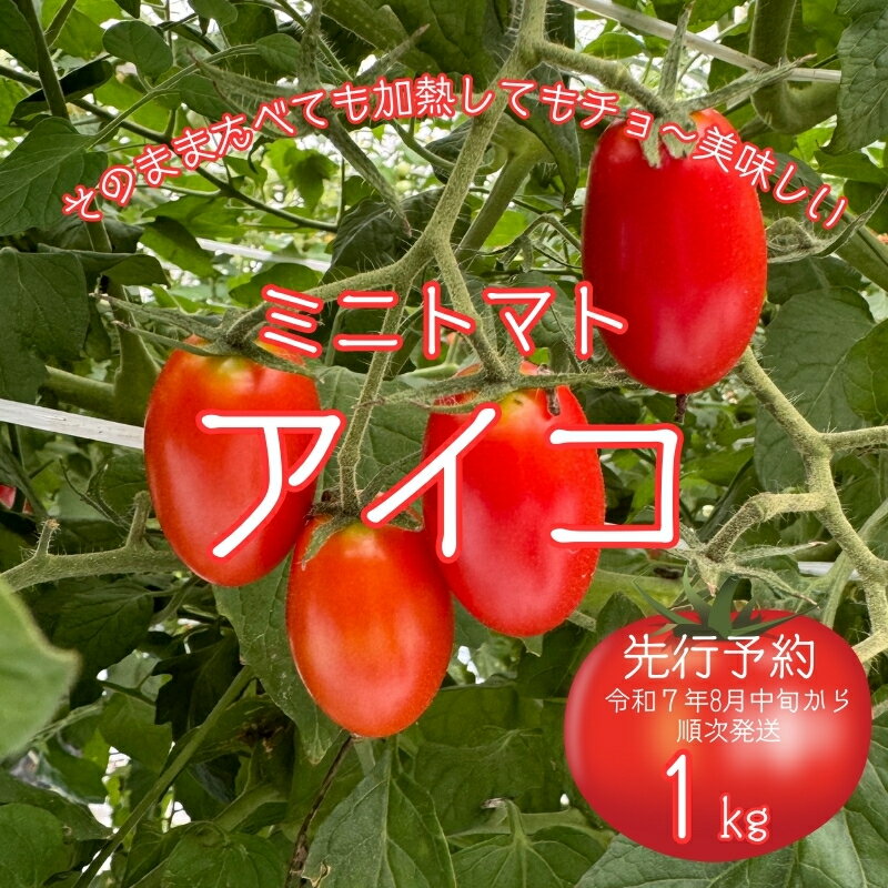 【ふるさと納税】【先行予約】令和7年8月中旬から順次発送 ミニトマト アイコ1キロ 酸味 みずみずしさ とまと トマト 夏秋 ぴの山ファーム 奈良県 奈良市 なら 9-100