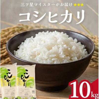 ふるさと納税 酒田市 庄内産　コシヒカリ　精米　10キロ