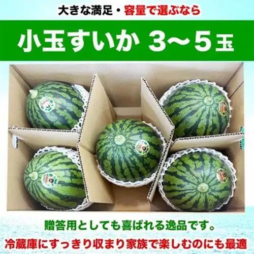 熊本県産 旬 甘い シャリ感 小玉すいか スイカ 約4.5kg以上(3～5玉入り)(益城町)【1684314】