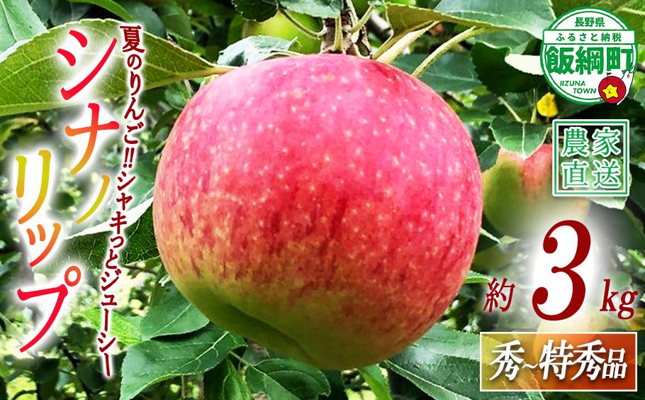 
                  りんご シナノリップ 秀 ～ 特秀 3kg サイズおまかせ 井澤農園 沖縄県への配送不可 2026年8月中旬頃から2026年9月中旬頃まで順次発送予定 令和8年度収穫分 エコファーマー認定 減農薬栽培 化学肥料不使用 信州 果物 フルーツ リンゴ 林檎 長野  予約 農家直送 長野県 飯綱町 [0873]
                