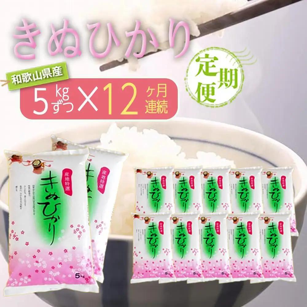 ［お米の定期便／全12回］和歌山県産 米 キヌヒカリ 60kg(5kg×12) 2025年産［SL22］