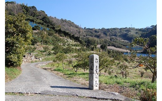 
220 語り部と歩きたび★熊野古道★時さかのぼるありだ【完歩証付き】(A220-1)
