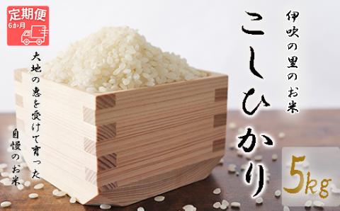 ほたるの集う田んぼの米≪令和5年産新米≫ こしひかり 6ヵ月定期便