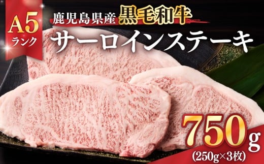 1398-1 鹿児島県産黒毛和牛A5ランクサーロインステーキ 750g（250g×3枚）　KN041-001-02