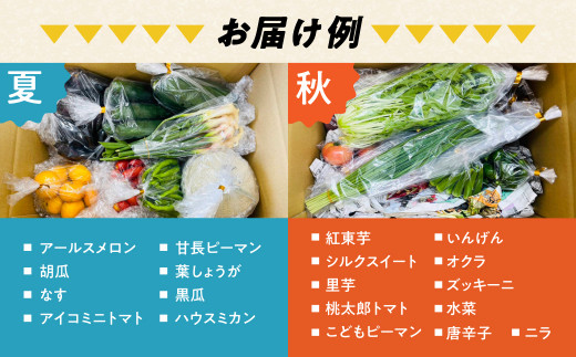 青うなぎ＆野菜  渥美半島よくばりセット 年内 蒲焼き 鰻 ウナギ うなぎ蒲焼 惣菜 幻 簡単調理 おいしい 高評価 ふるさと納税 魚 さかな 魚介 ランキング 野菜ソムリエ厳選 旬の野菜 フルーツ 