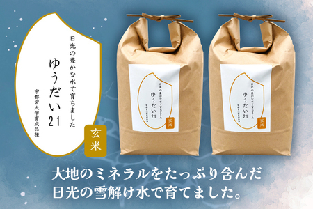 令和5年度産 ゆうだい21 玄米10kg(5kg×2袋)｜数量限定 お米 国産 日光産 産地直送 [0314]