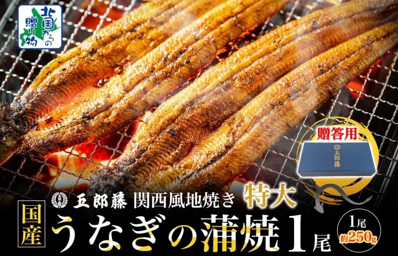 099H3443-1 【贈答用】五郎藤 関西風地焼き 国産有頭旨鰻 250g×1尾 計約250g 特大 うなぎ ウナギ 蒲焼き 炭火