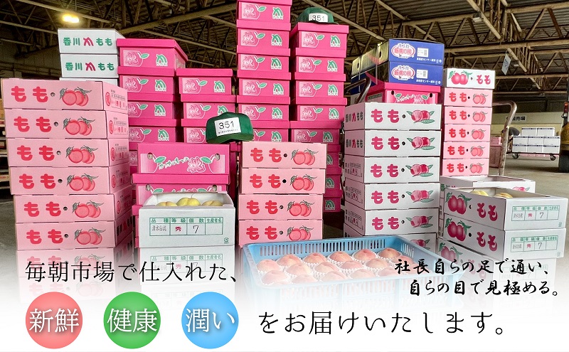 【2026年先行予約】特秀品！桃　約4kg（12～16玉） 果物 フル