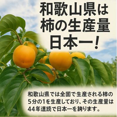 ふるさと納税 橋本市 柳フルーツ園の干し柿セット 約10kg【2025年秋冬配送】 |  | 03