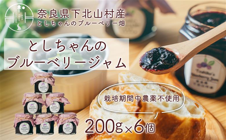 栽培期間中農薬不使用 としちゃんのブルーベリージャム200gx6個 手摘み 下北山村産