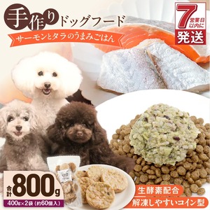 1cofood 手作りドッグフード サーモンとタラのうまみごはん 400g×2袋 〔Pf016〕