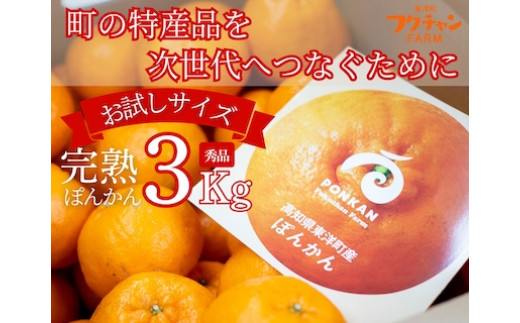 
            【先行予約】完熟ぽんかん＜3kg＞　F140
          