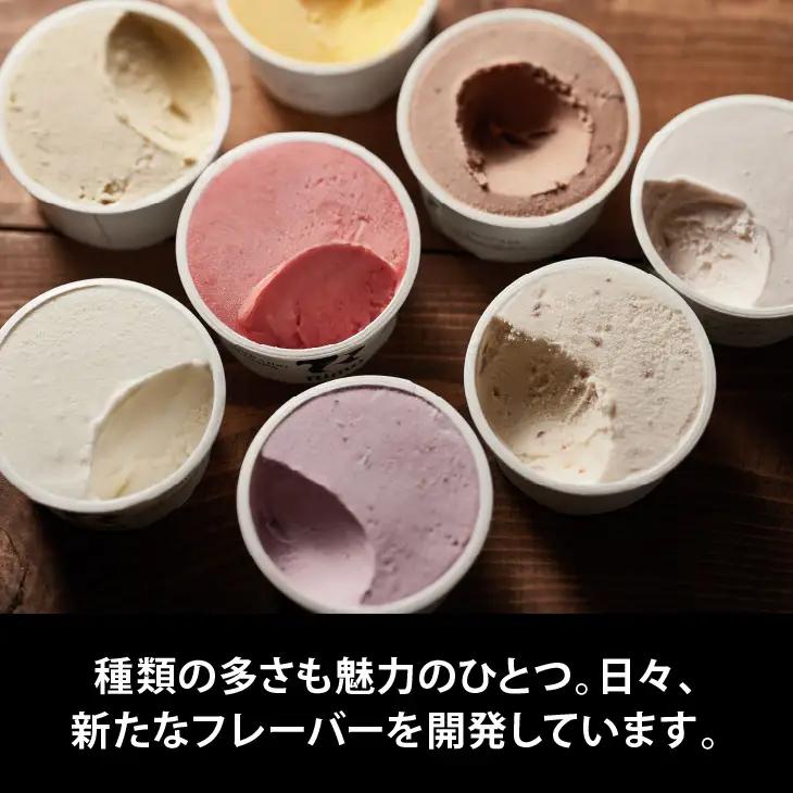 ジェラート 国際大会優勝店「Rimo」おすすめ12個セット ABA005 | ジェラート