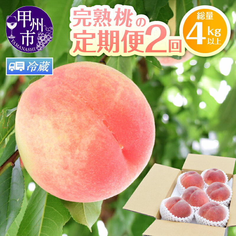 【ふるさと納税】 桃 もも 2kg 5～8玉 収穫量 日本一 果物 くだもの フルーツ 白桃 白鳳 農家直送 朝採れ 山梨県 数量限定 ふるさと 人気 定期便 山梨 2025 定期 旬 予約 先行 産地直送 農家 果実 贈答 ギフト スイーツ 家庭用 期間限定 6月 7月 発送 (HK) 【C1-442】