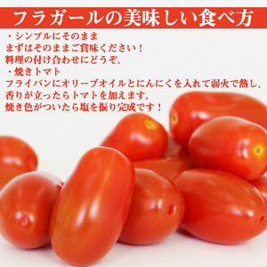 岩手県産 ミニトマト フラガール 1kg