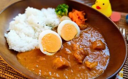お子様用 チキンカレー 5食セット スパイスカレー 冷凍 ［1640］