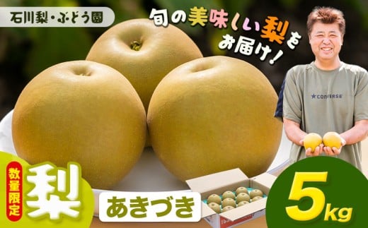 【数量限定】梨 約5kg あきづき 石川梨・ぶどう園《9月上旬-9月中旬頃出荷》茨城県 結城市 梨 ナシ なし 果物 フルーツ あきづき【配送不可地域あり】（離島）