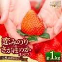 【ふるさと納税】【先行予約】恋みのり・さがほのか 約250g×4パック《壱岐市》【Strawberry Gang】 [JEM001] セット イチゴ 苺 定期便 食べ比べ 果物 フルーツ スムージー 14000 14000円 冷蔵配送