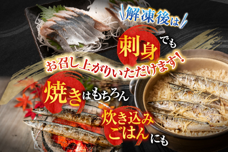 【北海道根室産】冷凍さんま40尾 C-36002