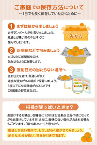 S086-002A_井手尾さん家の濃厚いでぽん 不知火 約5kg 柑橘〈先行予約〉