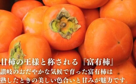 柿 富有柿 約7.5kg 柿 カキ カキ 配送：10月中旬～