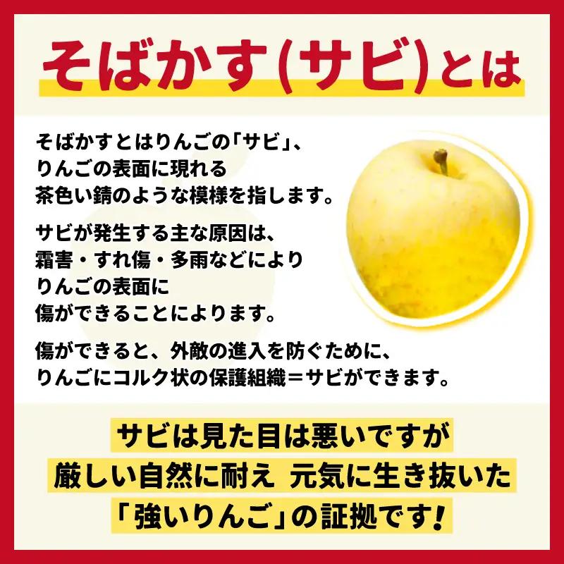 【先行予約】自家用 りんご そばかす「冬恋」 (AI023)りんご