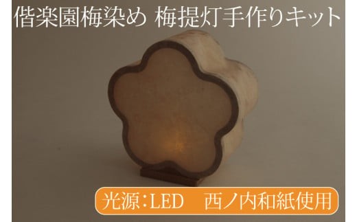 【数量限定】TVで紹介されました！偕楽園梅染め 梅提灯手作りキット【鈴木茂兵衛商店 提灯 LED光源 和紙 インテリア 間接照明 風鈴提灯 手作りキット 手作り 梅染め 偕楽園 茨城県 水戸市】（CX-21）