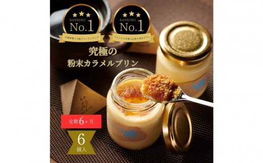 
                  ［6ヶ月定期便］究極のカラメルプリン【砂プリン】6個セット
                