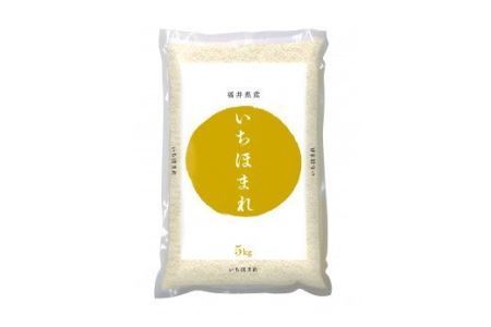 【令和7年産】福井が生んだブランド米「福井県産いちほまれ」【5kg 1袋 精米】 [A-014002] / 米 こめ お米 コメ ごはん ご飯 飯 送料無料 5kg 5キロ 福井市 福井県