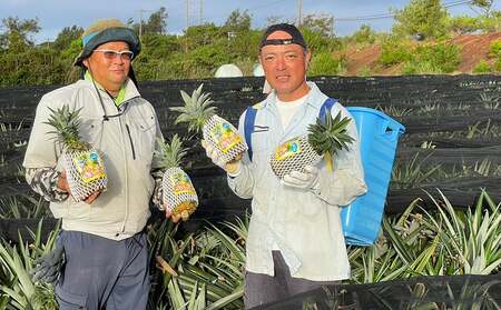 東物産「TARUGO」約2.5kg（2玉）